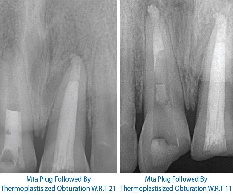 Online Open Access Dental Magazine, Journal, Publication, Dentistry Journal