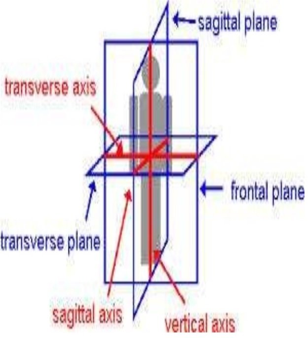 Online Open Access Dental Magazine, Journal, Publication, Dentistry Journal
